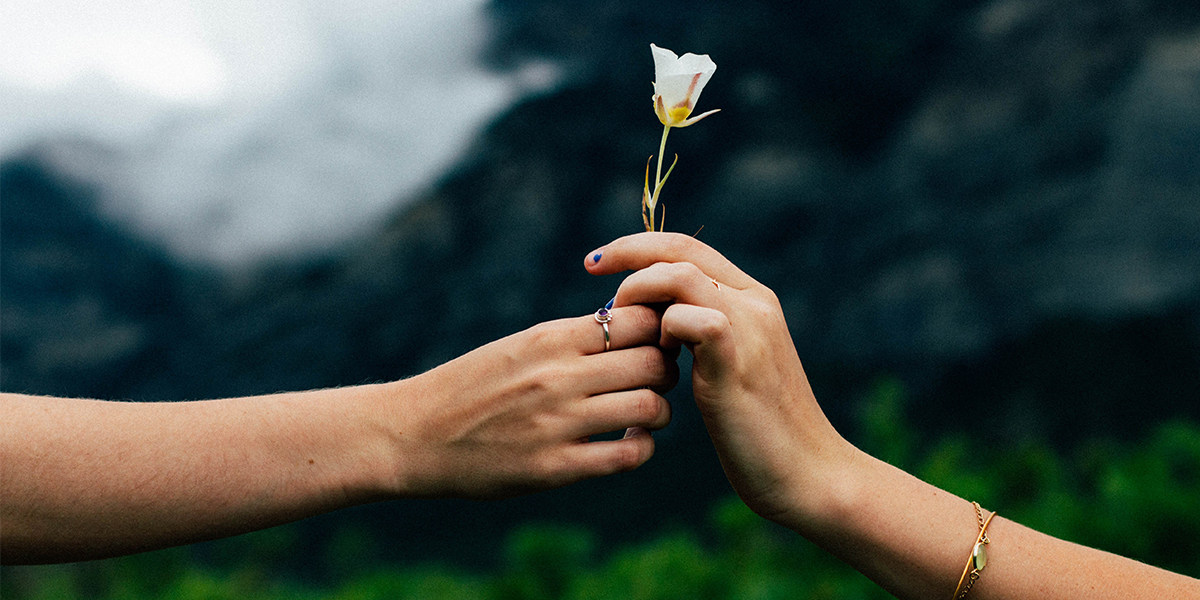 someone handing someone else a flower