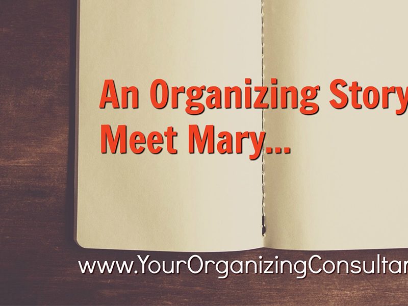 an open book with text that reads, an organizing story: meet mary...